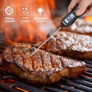 brapilot digital meat thermometer review