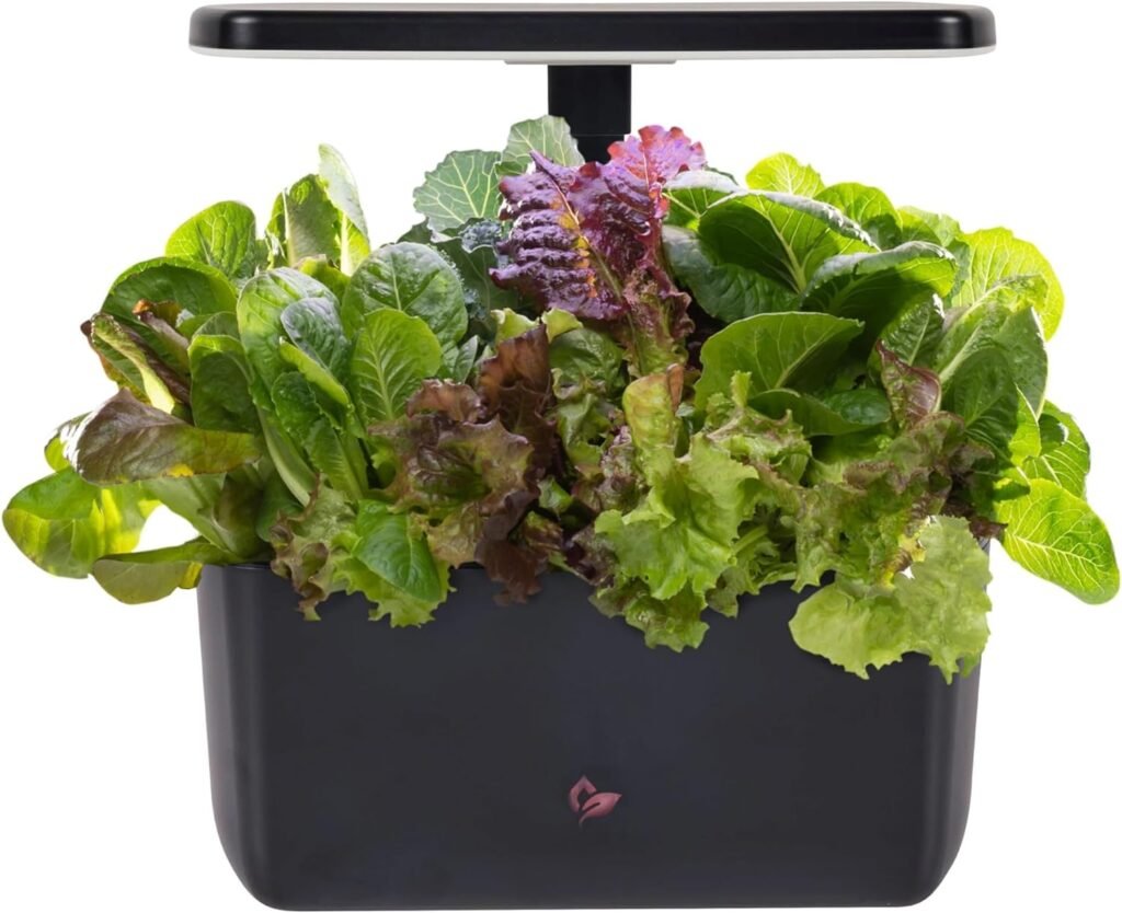 AeroGarden Harvest with Gourmet Herb Seed Pod Kit - Hydroponic Indoor Garden, Black